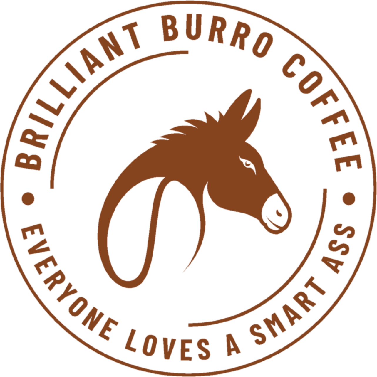 Brilliant Burro Coffee Co brilliant-burro-coffee-co