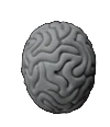 Contact icon